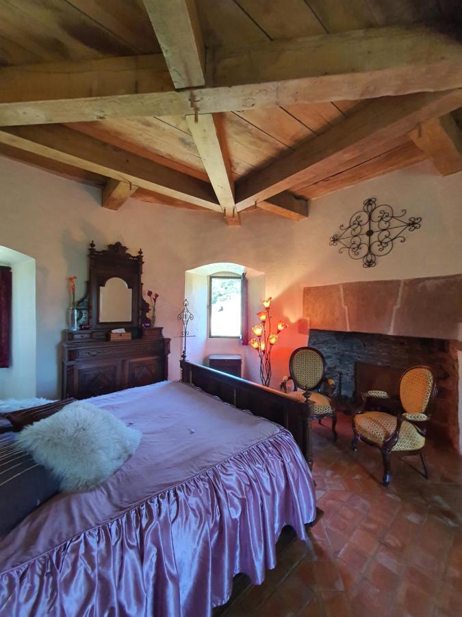 Chambre D'Hotes Au Chateau De Belcastel Belcastel  Dış mekan fotoğraf
