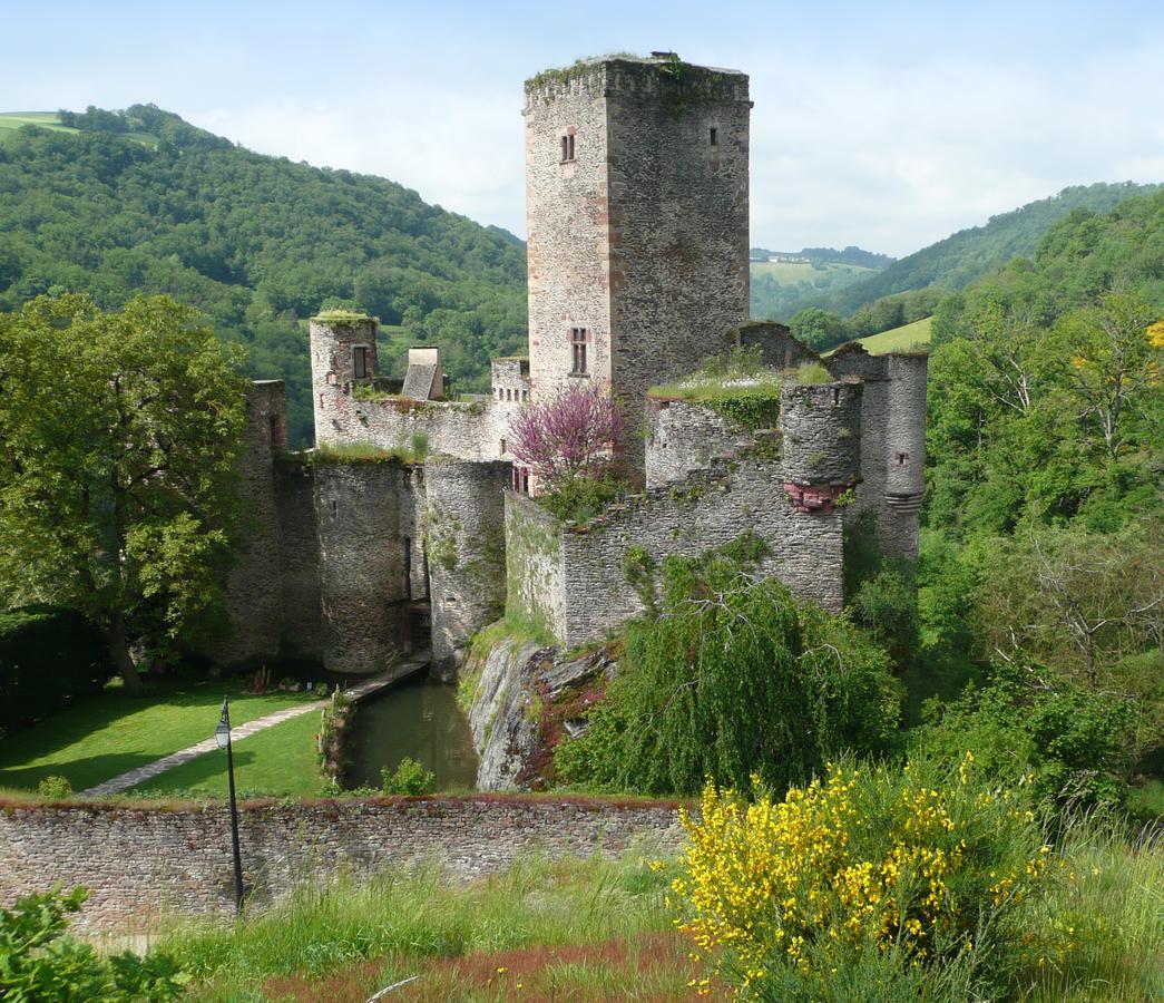 Chambre D'Hotes Au Chateau De Belcastel Belcastel  Dış mekan fotoğraf